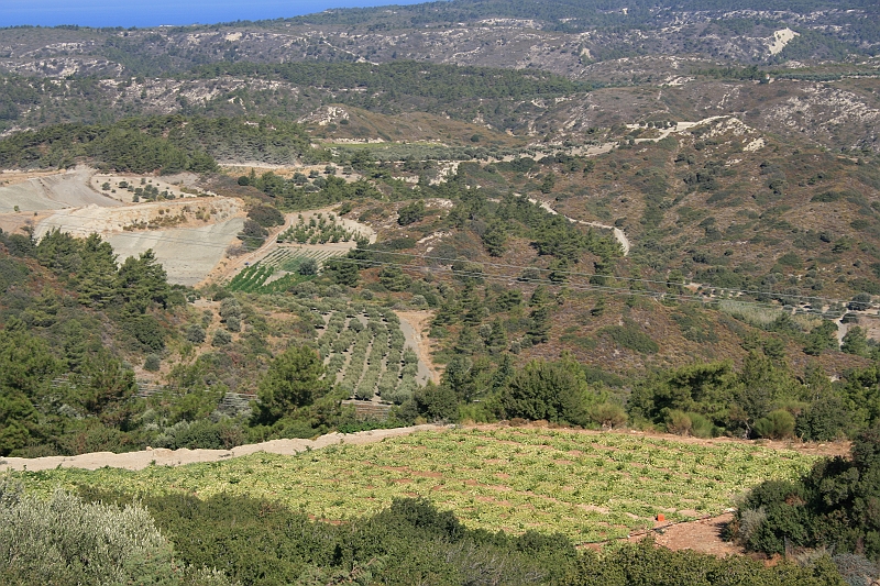 Rodos 2007 780